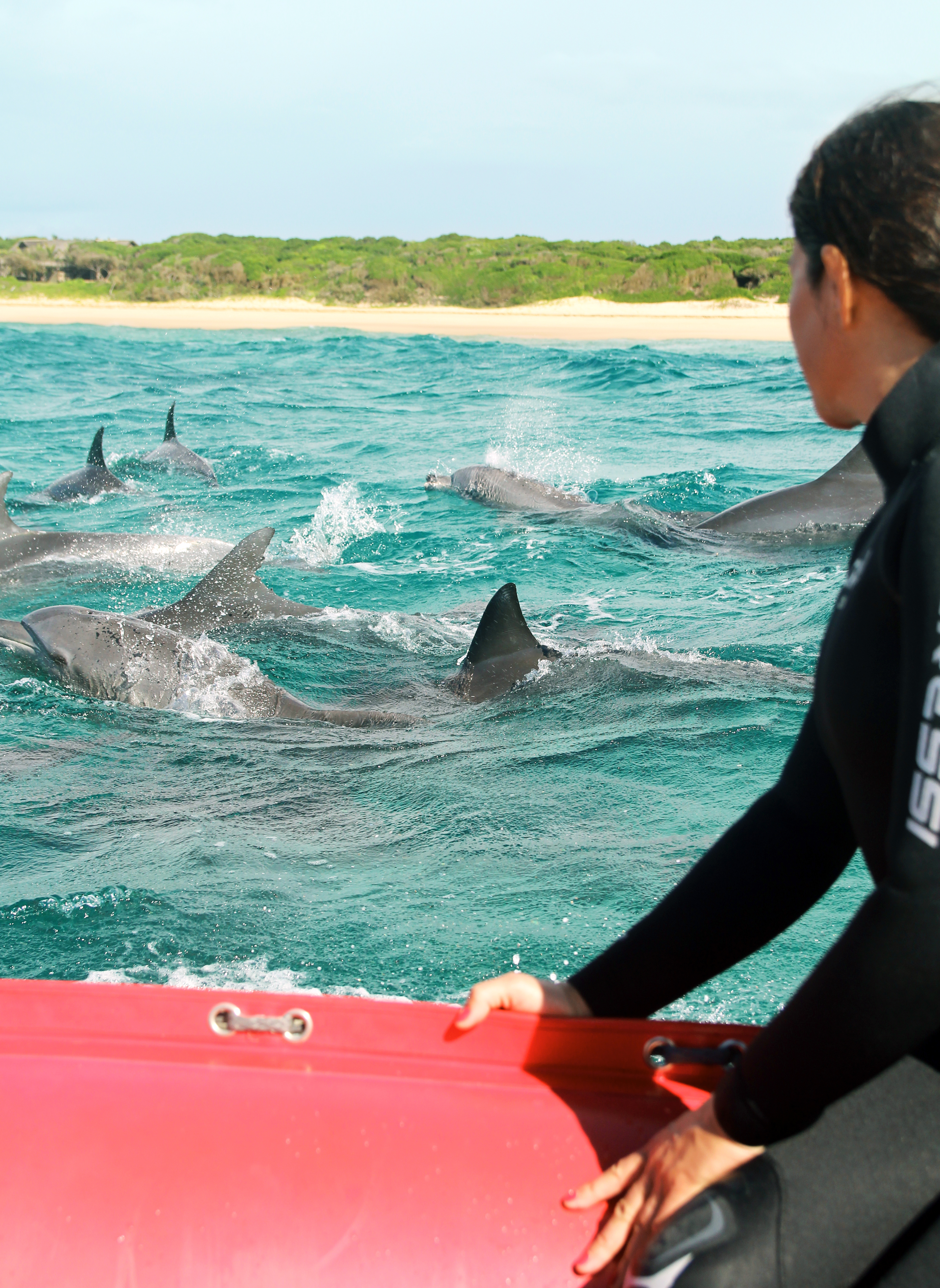 Ocean Safari departing from White Pearl Resorts  in Mozambique